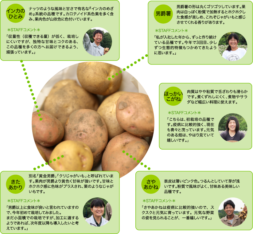 オーガニックハウス鳩山農場から 大地の恵み とどきました オーガニックハウス