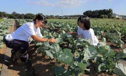 鳩山農場 2015年秋