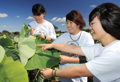 新入社員と鳩山農場
